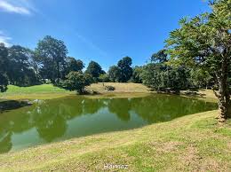Kolam Telago Rajo